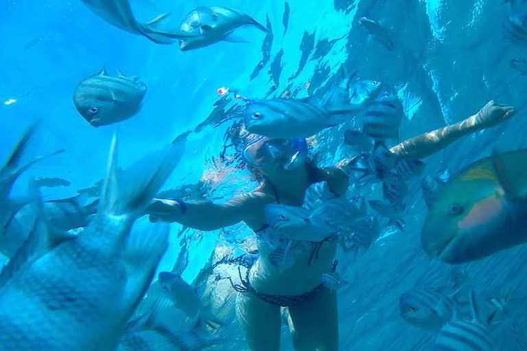 Private: Sosua Bay Snorkeling Tour with Hotel Pickup