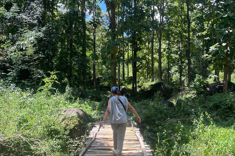 Chiang Rai: Lahu Village Trek, Waterfall & Hot Springs