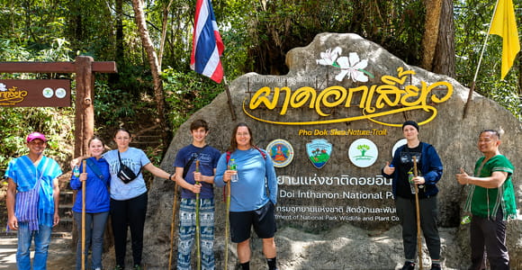 Chiang Mai: Doi Inthanon Hike & Elephant Observation Tour