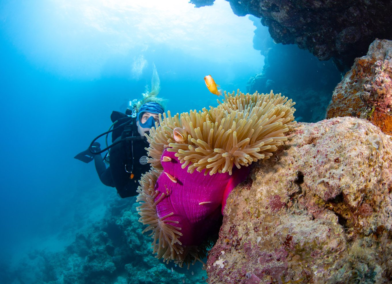 Port Douglas: Dykning og snorkling ved Great Barrier Reef med Silversonic