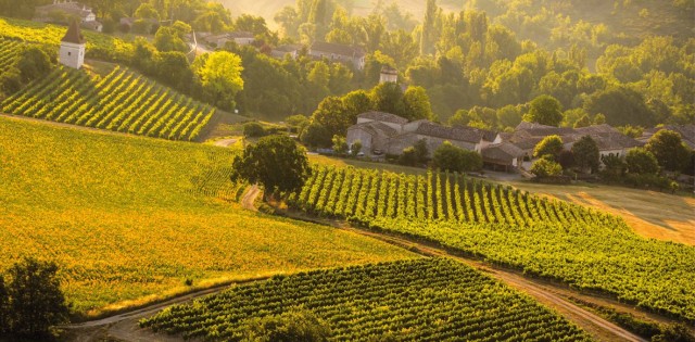 Visit Visit to the Gaillac vineyards (81) in Albi, Tarn, France