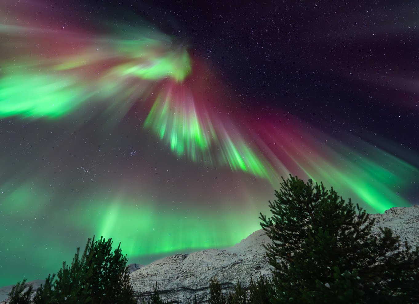 Tromsø: Nordlys i minibus med gratis fotos og et varmt måltid