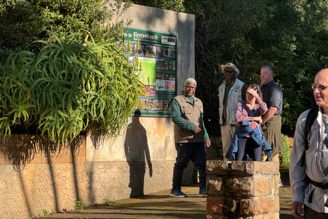 Cape Town: Kirstenbosch Gardens and City Tour with Lunch