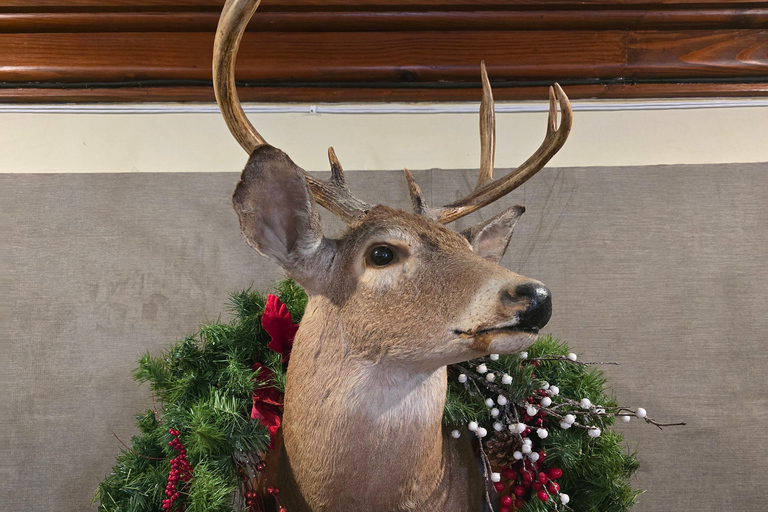 Traditional Cantina Tour with Drinks in Downtown Monterrey