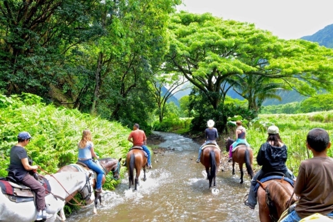 Safari de un día y aventura al aire libre en Punta Cana