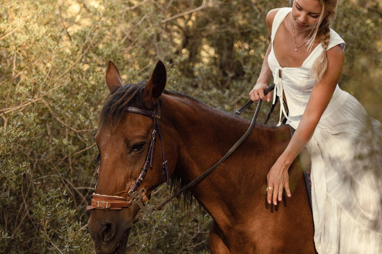 Bordeaux: Private Horseback Riding and Wine Tasting & Picnic