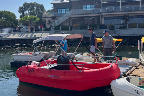 San Diego: Alquiler de barco eléctrico con parasol