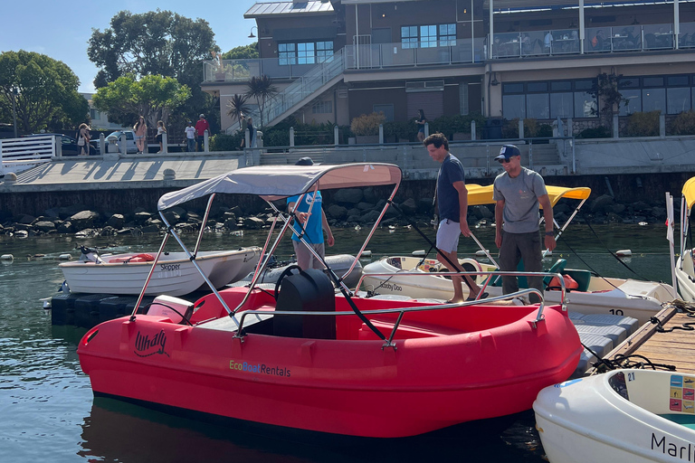 San Diego: Elektrische boot huren met parasol