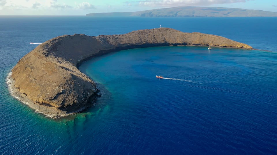 Au départ de Kihei : Cratère Molokini et Turtle Town Snorkeling