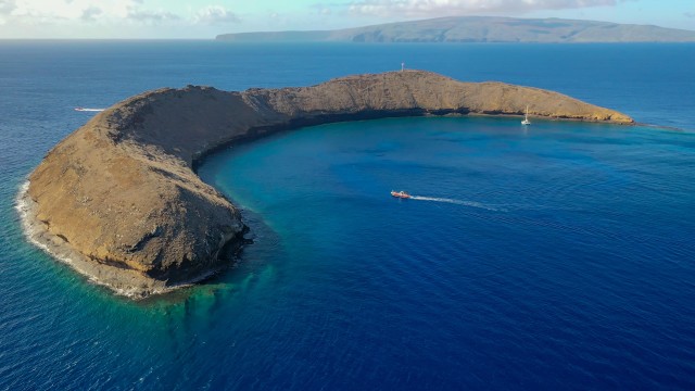 Visit South Maui Molokini Crater and Turtle Town Snorkeling Trip in Maalaea, Hawaii