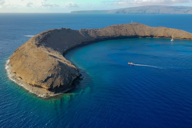 Kihei: Krater Molokini i Turtle Town Snorkel Trip 4-godzKihei: Rejs statkiem do nurkowania z rurką w kraterze Molokini