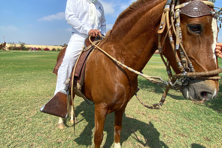 Paracas e Huacachina: Ilhas, Dune Buggy e Piquenique ao Pôr do SolParacas e Huacachina: Ilhas, Buggy nas Dunas e Piquenique ao Pôr do Sol