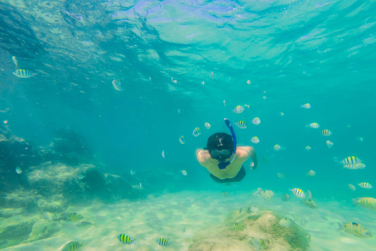 Ko Lanta: Excursão exclusiva de mergulho com snorkel em cauda longa em 4 ilhas com almoçoPasseio compartilhado