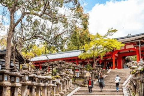 Nara: Private Full-Day Tour with Licensed Guide