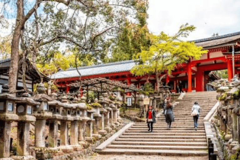 Nara: Private Full-Day Tour with Licensed Guide