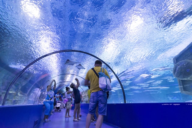 Antalya: Aquarium and Wax Museum Entry Ticket