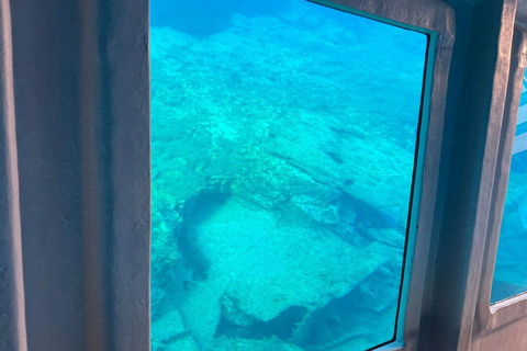 Paphos : Croisière de 2 heures avec observation des tortues et boissons