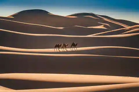 Mongolian Odyssey Throughout the Gobi 10 Days