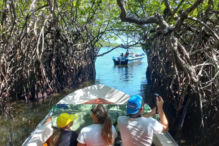 Galle Dutch Fort, Sea Turtle, River Safari & Beach Day Trip