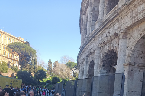 Roma: Tour a piedi del Colosseo, del Palatino e del Foro RomanoTOUR FRANCESE