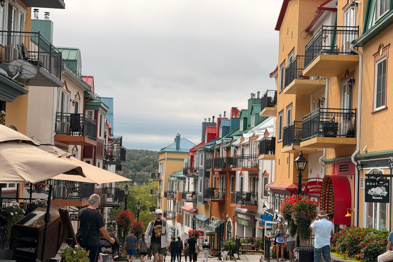 Mont-Tremblant: Private Day Trip with Treetop Walk & Gondola