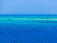 Sharm El Sheikh, Ras Mohammed, White Island, Snorkel and Diving - Housity