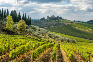 Multi-day Tours and Trips from Siena