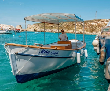 Tremiti Islands: 4-hour guided day trip with light lunch