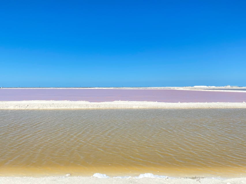 Natural Experience Rio Lagartos and Las Coloradas. | GetYourGuide