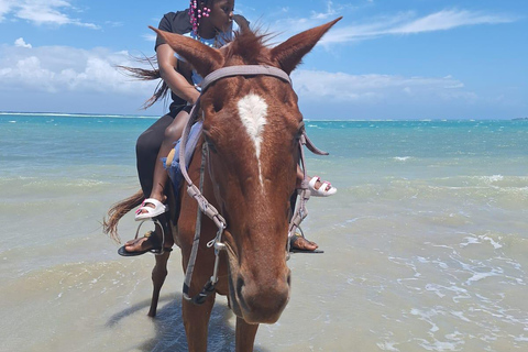 Montego Bay: Blue Hole & Horseback Riding Tour