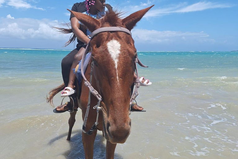 Montego Bay: Blue Hole & Horseback Riding Tour