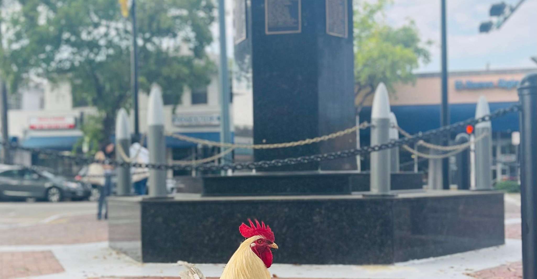 VIP Walking Tour of Little Havana - Housity