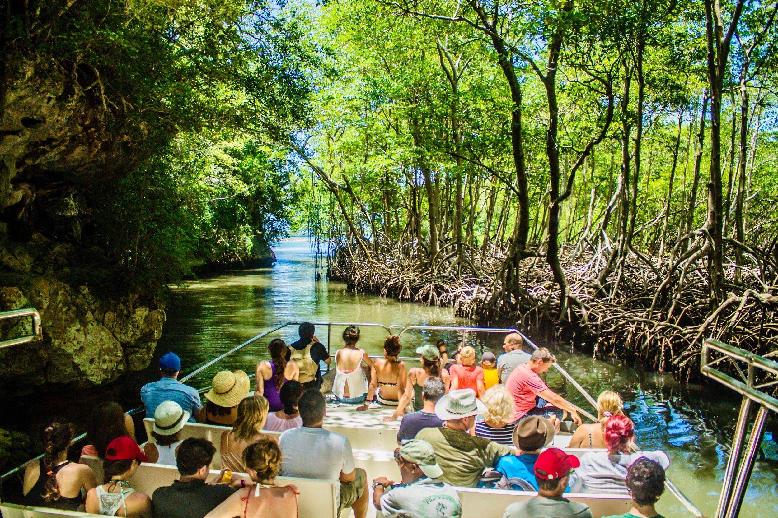 2in1: Los Haitises National Park + Yanigua Wasserfall-SPA