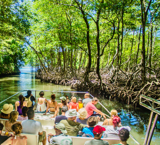 Spas and Wellness Activities in Samaná