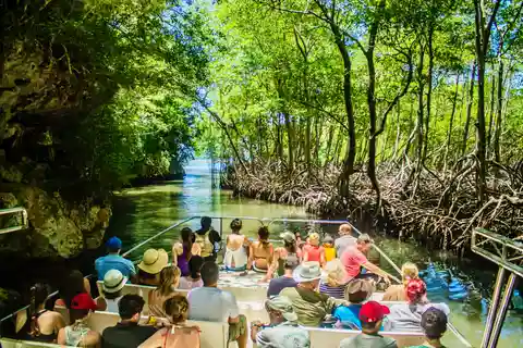 2en1: Parque Nacional de Los Haitises + Cascada Yanigua-SPA