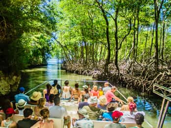 Los Haitises Park, Yanigua Wasserfall, & Montaña Redonda Tour