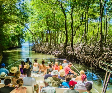 Los Haitises Park, Yanigua Wasserfall, & Montaña Redonda Tour