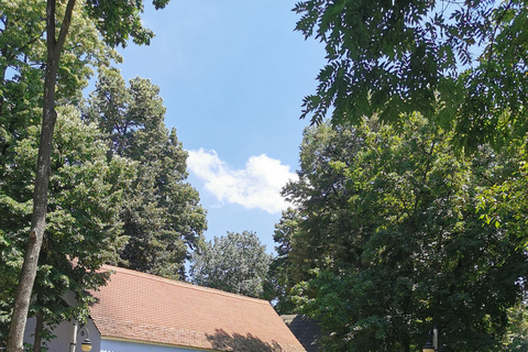 From Craiova: Bucharest Day Tour