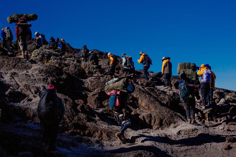 From Moshi: 7-Day Kilimanjaro Climb via Machame Route