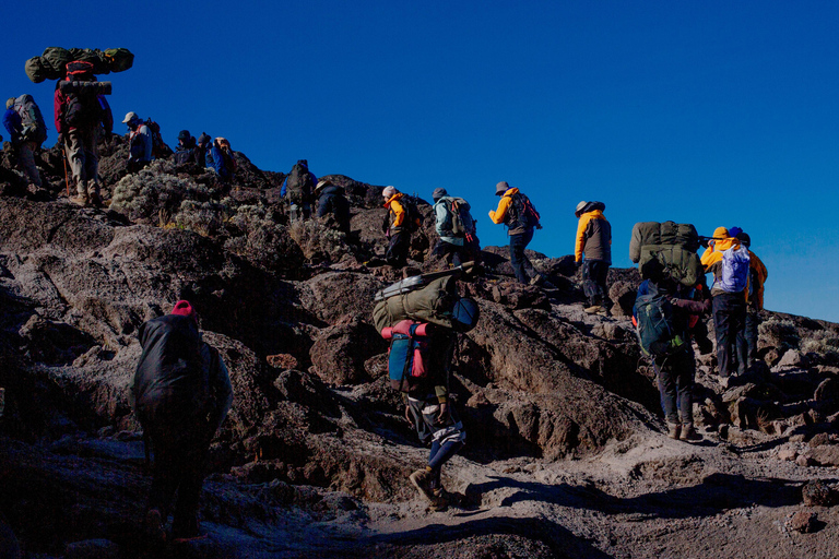 From Moshi: 7-Day Kilimanjaro Climb via Machame Route