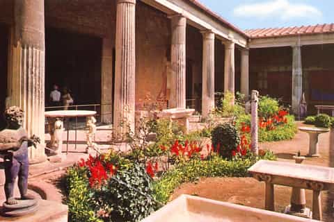From Naples or Sorrento: Pompei Half-Day Tour