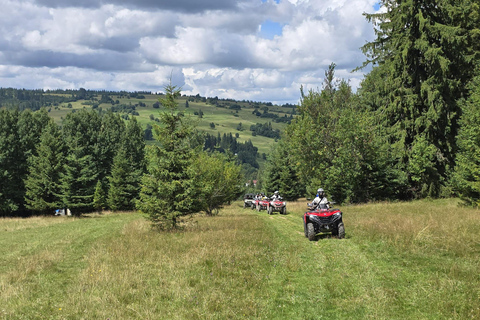 Krakau: Tagestour nach Zakopane mit Schneemobilen, Verkostung &amp; heißen QuellenKrakau: %%RABATT auf die Tagestour mit Schneemobil &amp; heißen Quellen in Zakopane