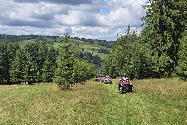 Krakau: Tagestour nach Zakopane mit Schneemobilen, Verkostung &amp; heißen QuellenKrakau: %%RABATT auf die Tagestour mit Schneemobil &amp; heißen Quellen in Zakopane