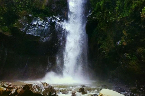 Yogyakarta; waterfall and terraced rice fields