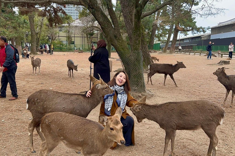 Osaka & Nara: Must-see Spots Full Day Tour with Hotel Pickup