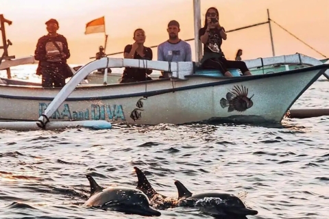 Bali : L'emblématique porte de Handara et l'observation des dauphinsObservation des dauphins de Lovina, porte de Handara et collines de Wanagiri