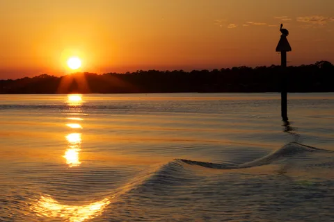 Hilton Head: Sunset Dolphin Cruise with Scenic Views