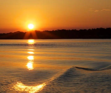 Hilton Head: Crociera con delfini al tramonto con vista panoramica