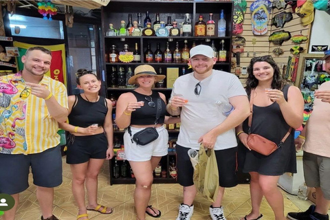 Montego Bay : Private Highlight Tour and Shopping