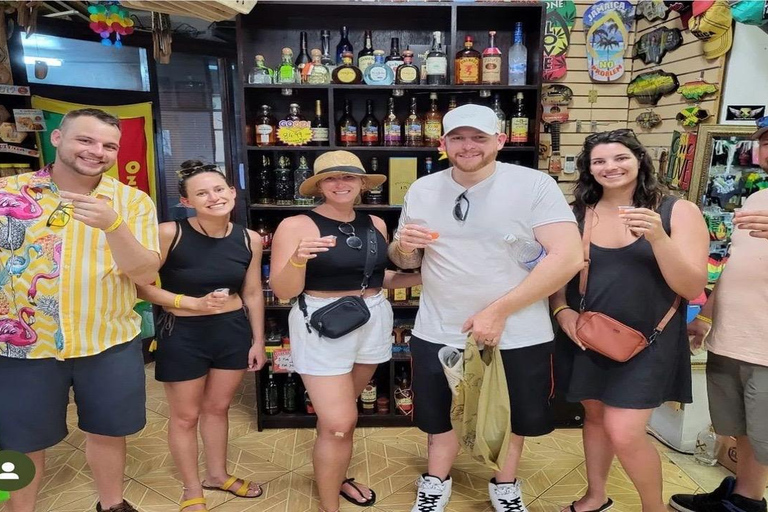 Montego Bay : Private Highlight Tour and Shopping